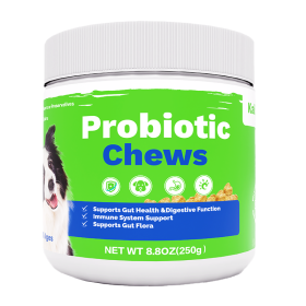 OEM Hot Sales Probiotics Chews For Pets Customized Shape For Digestive Health Pets Supplement Healthy Gut For Dogs